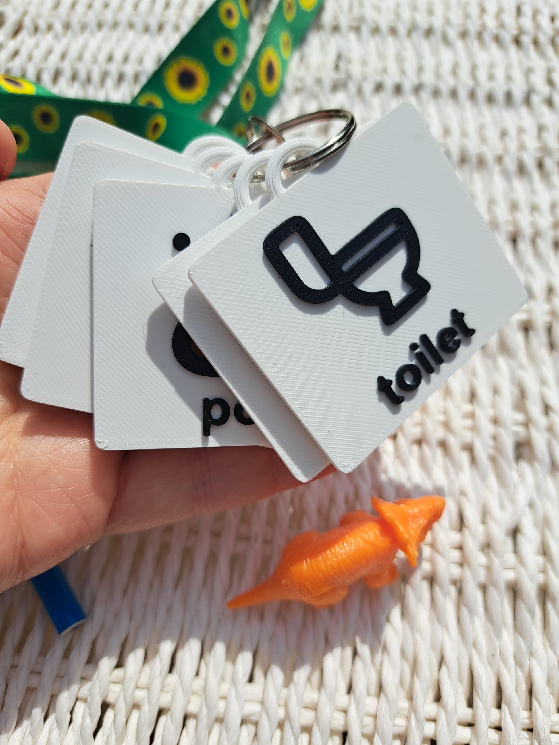 Close-up of the ‘toilet’ tag from the toilet communication set, showing raised text and symbol.