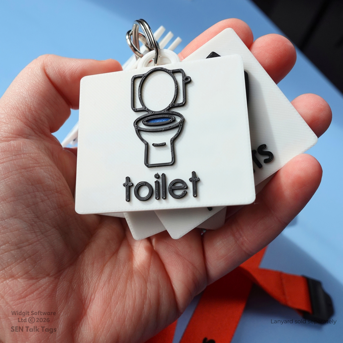 Toileting & Hygiene Visual Symbol Set (Featuring Licensed Widgit® Symbols)